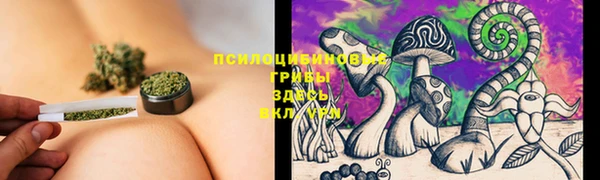 не бодяженный Покачи
