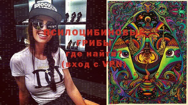 PSILOCYBIN Абинск