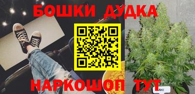 соль ск Славгород