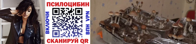 Галлюциногенные грибы ЛСД Краснокамск