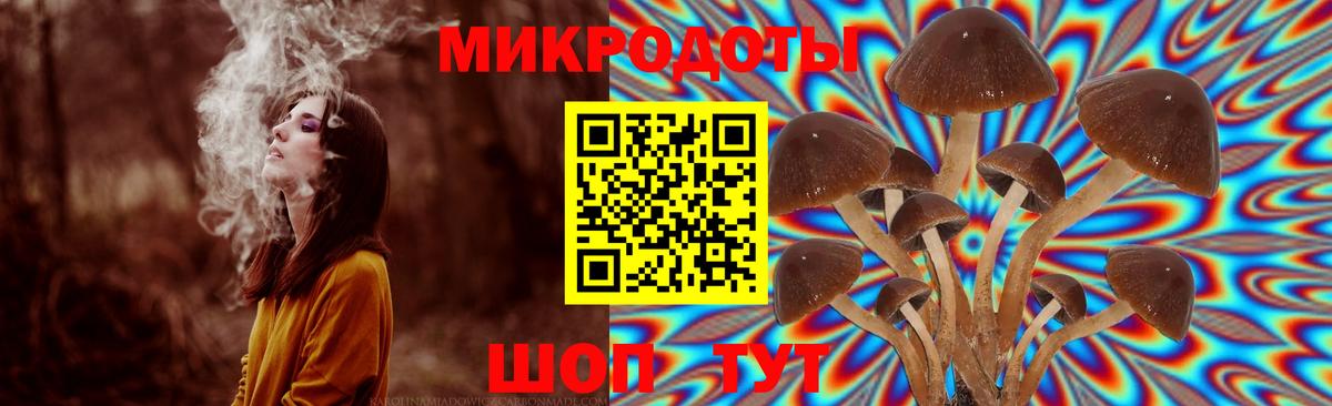 Галлюциногенные грибы MAGIC MUSHROOMS Краснокамск