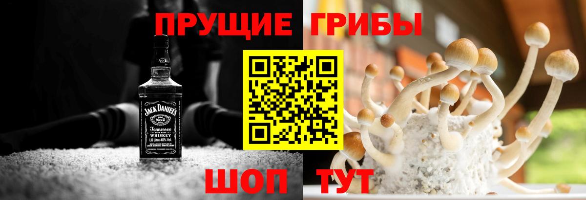 Краснокамск  Псилоцибиновые грибы Cubensis  Галлюциногенные грибы ЛСД  Вход с VPN 
